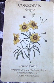 Botanical Inspirations Deck & Book Set